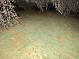 Shugart 40’x10’x5′ Sectional Barge Package